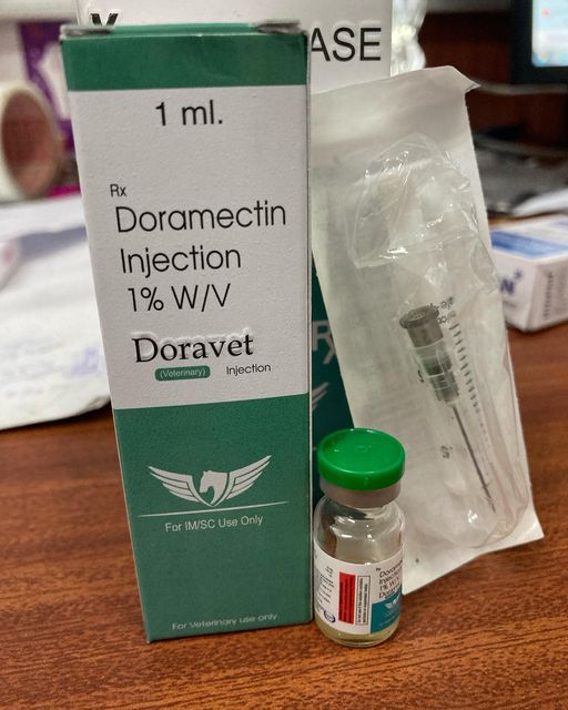   furever 9 Doravet.